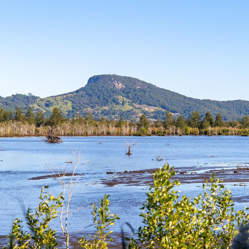 yandina creek wetlands