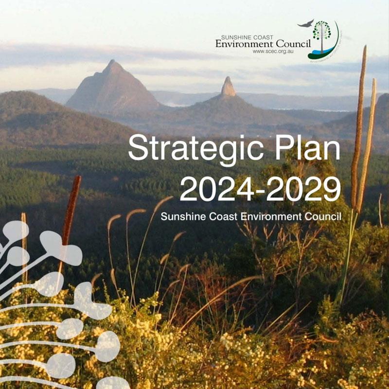 Blue ocean of Australia